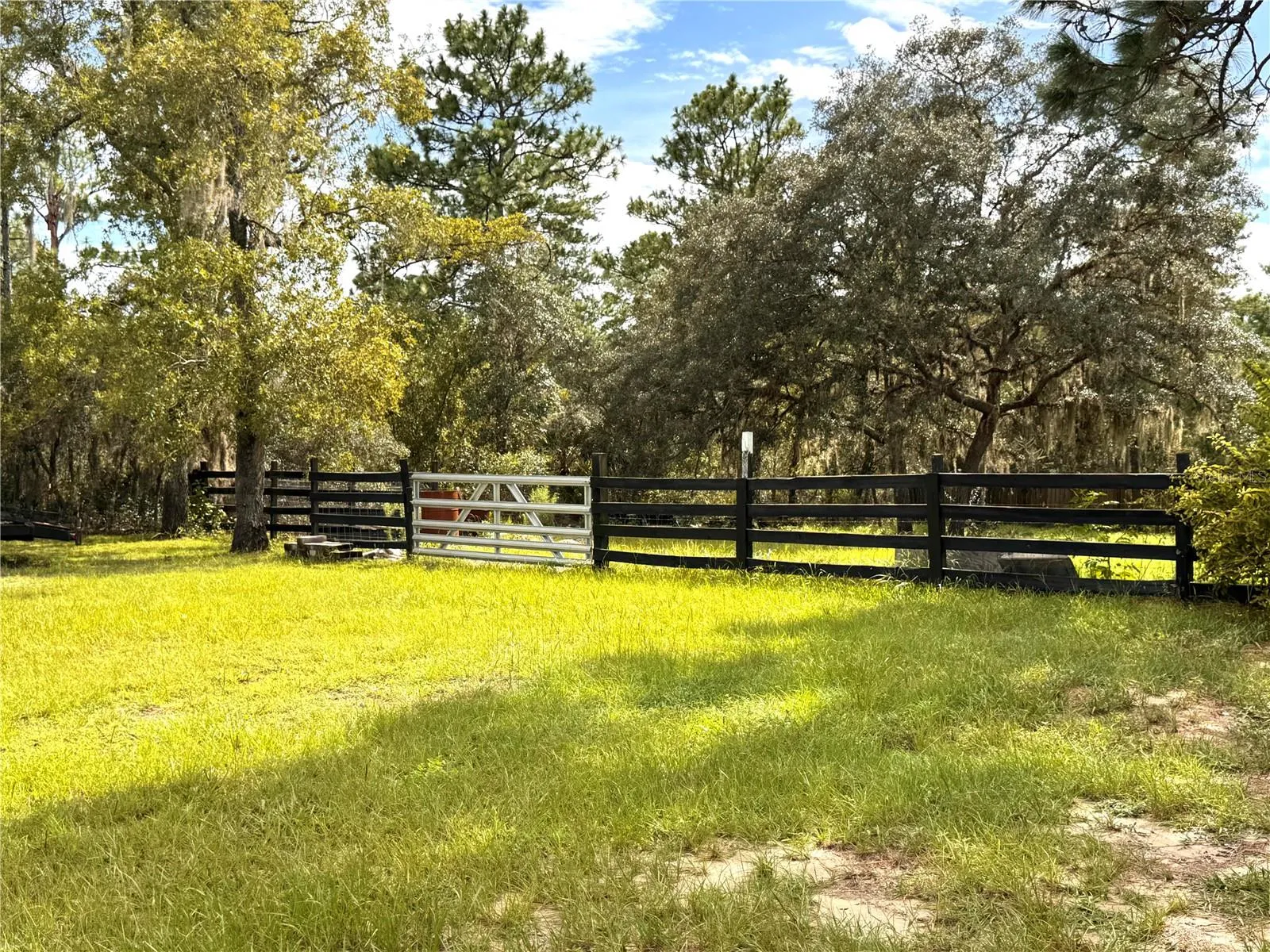 Beautiful pastures