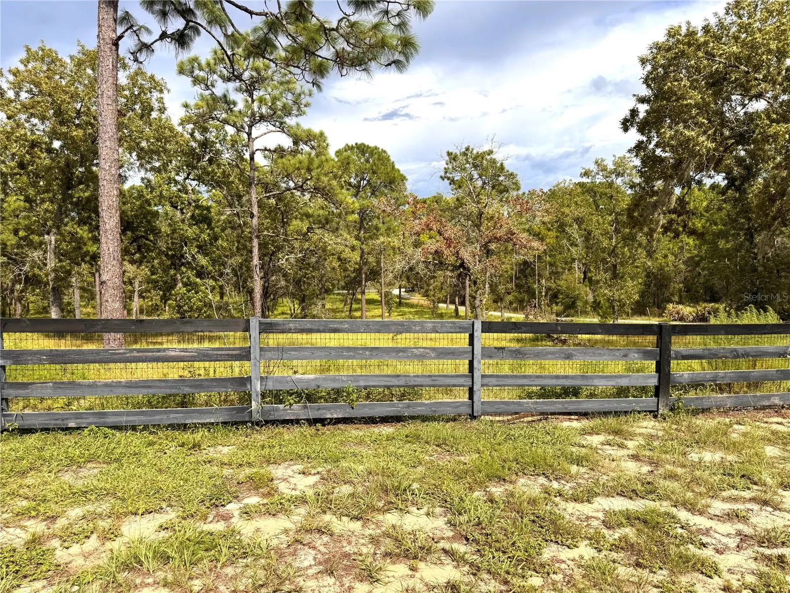 Fenced pastures for the livestock