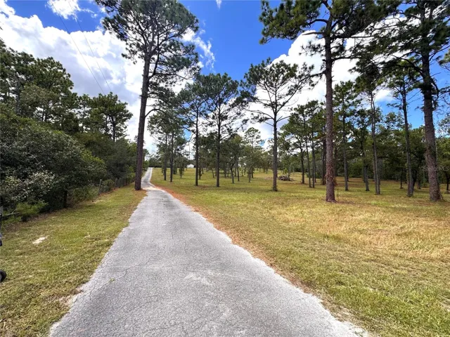 Up the driveway