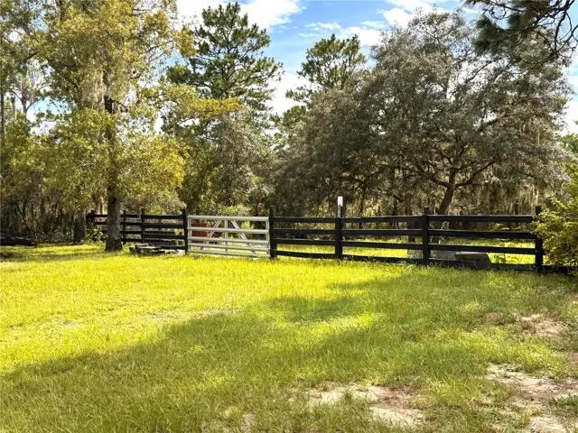 Beautiful pastures