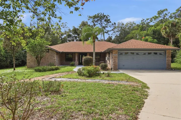 684 Black Ironwood Dr.