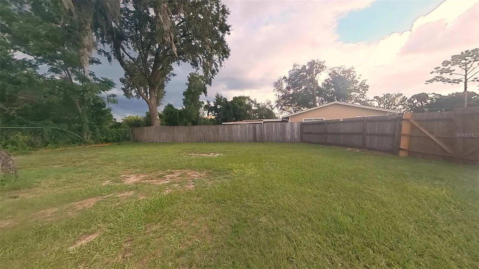 Side Yard