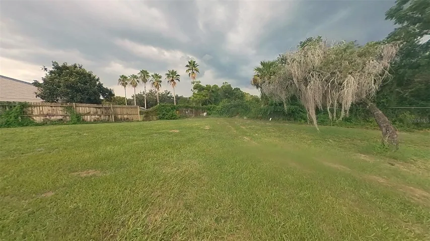 Side Yard