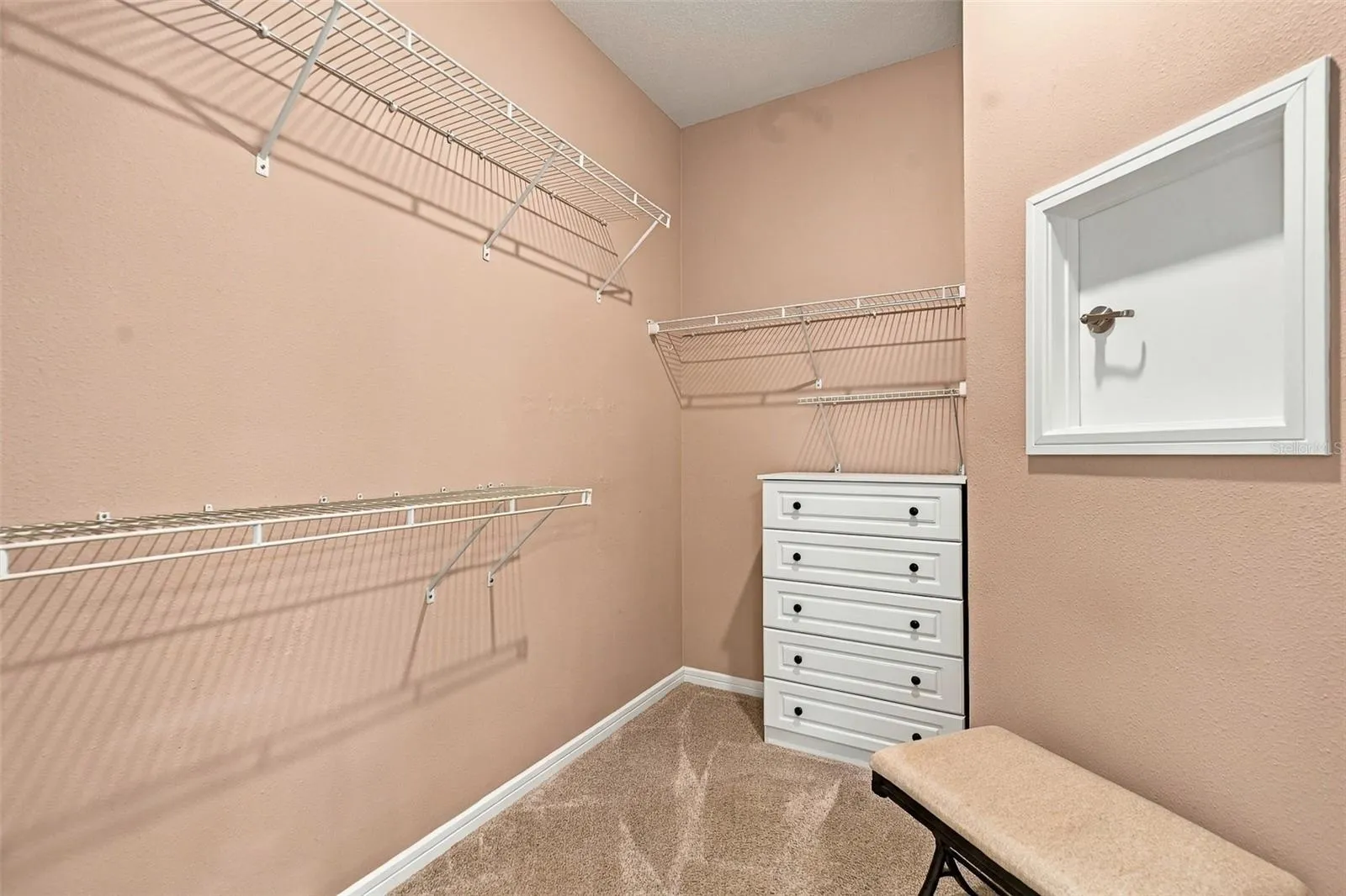 Large Primary closet w/laundry chute door