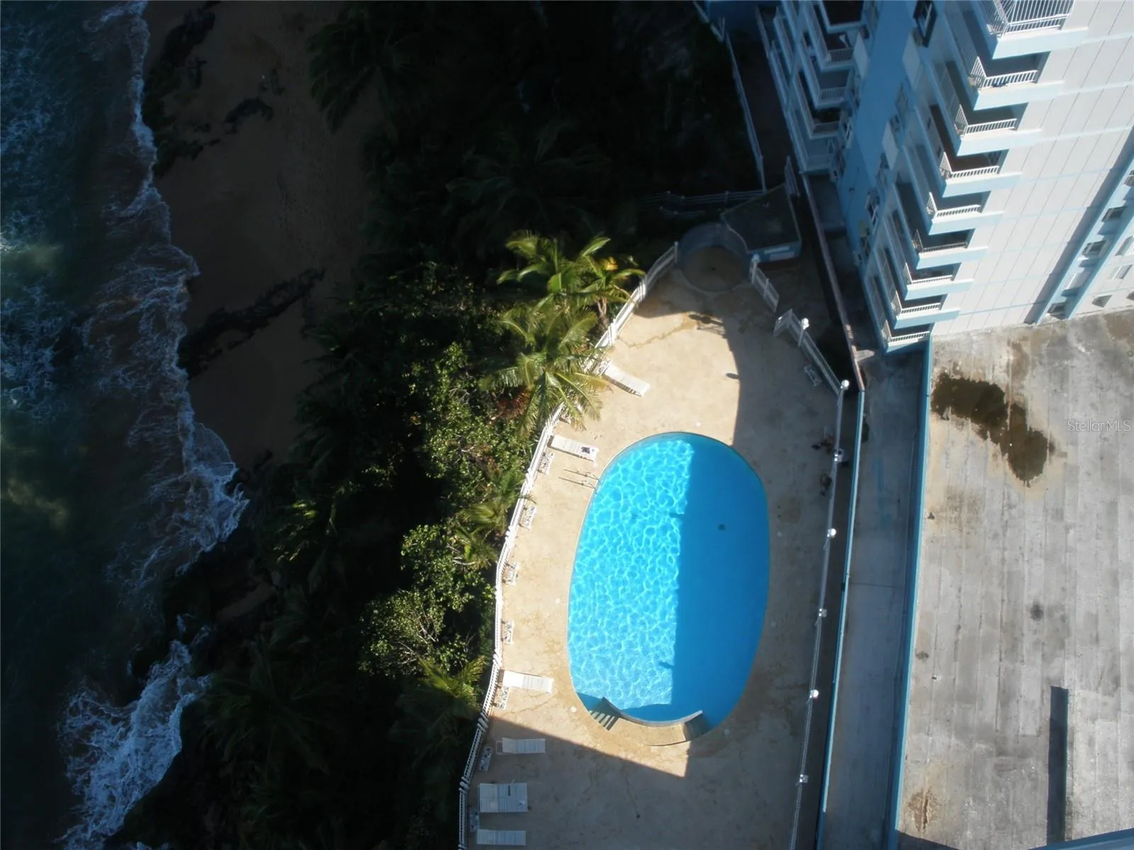 Pool ~ Pisicina