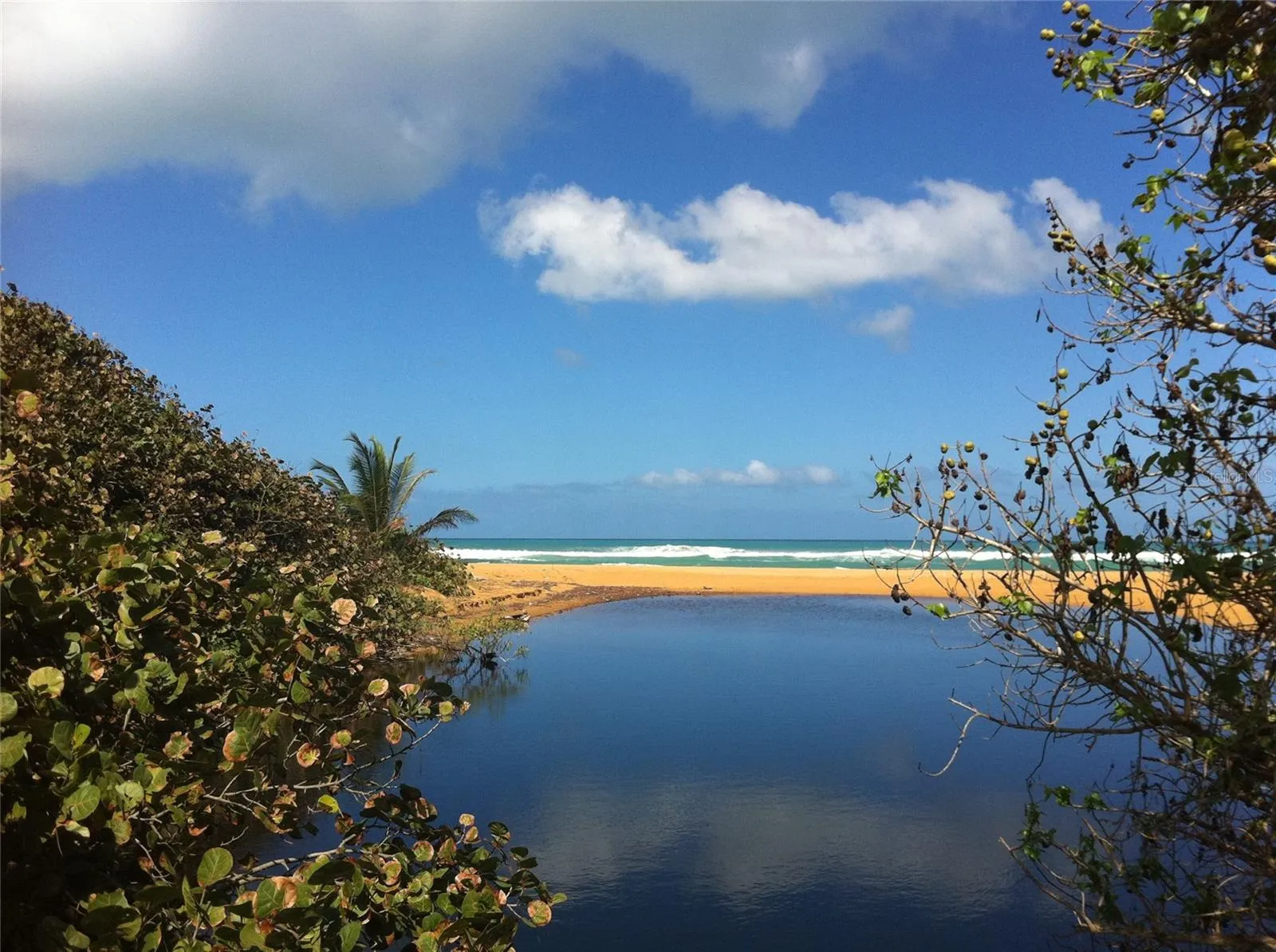 Playa La Selva Reserve