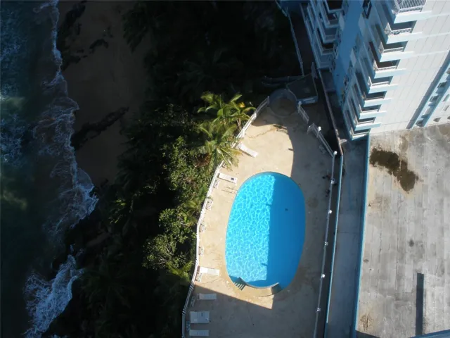 Pool ~ Pisicina