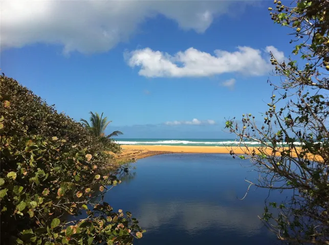 Playa La Selva Reserve