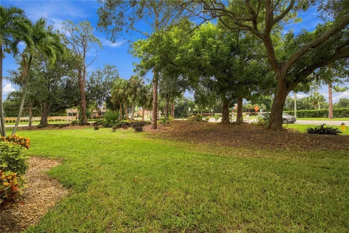 Yard from lanai