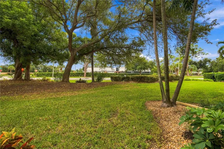 Yard from lanai