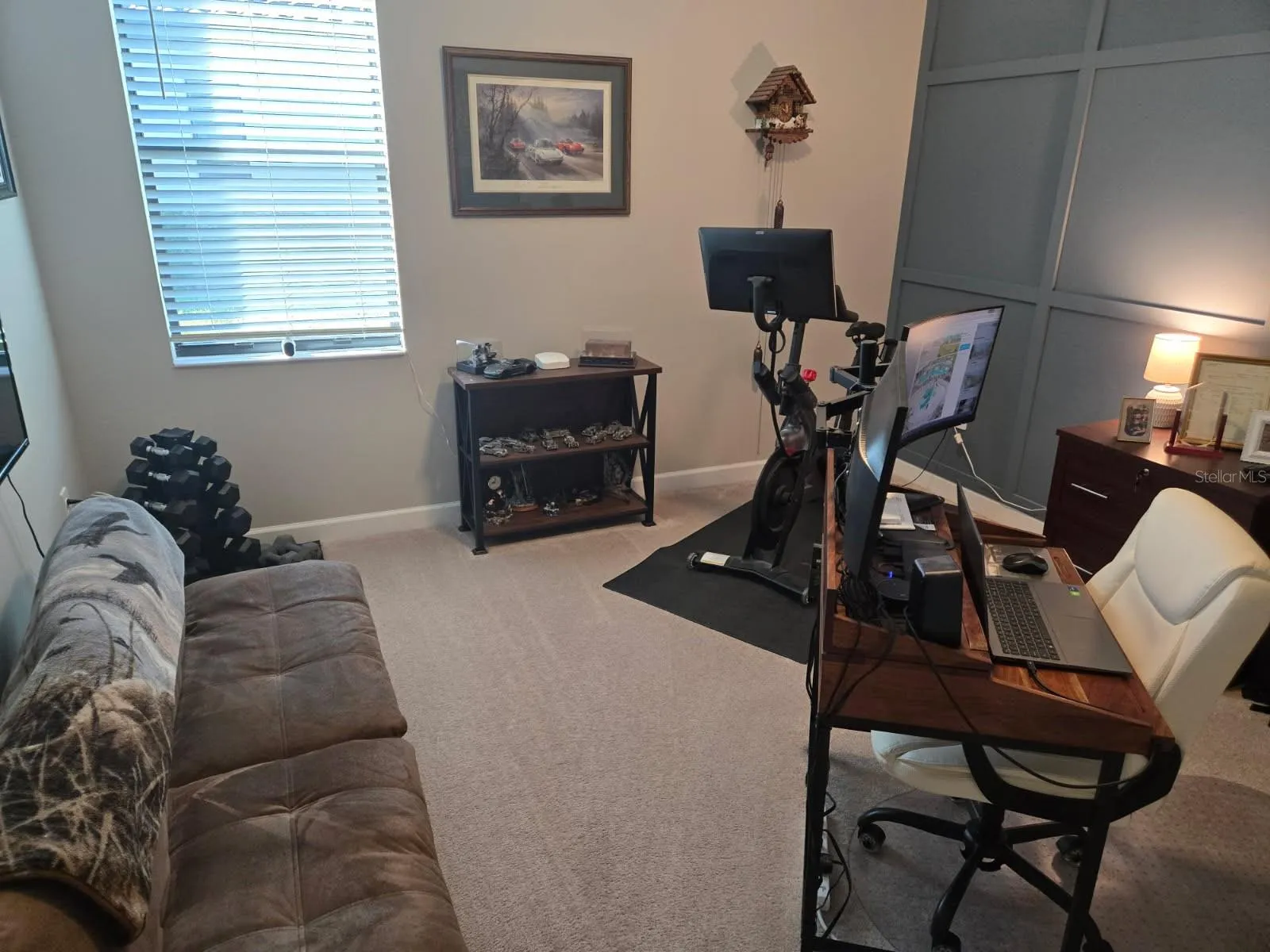 Den/office/Gym
