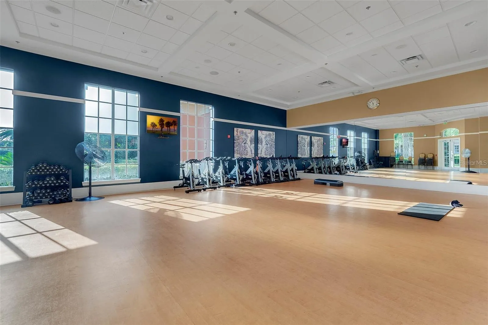 The Movement Studio is the perfect for organized exercise classes, dance and spinning