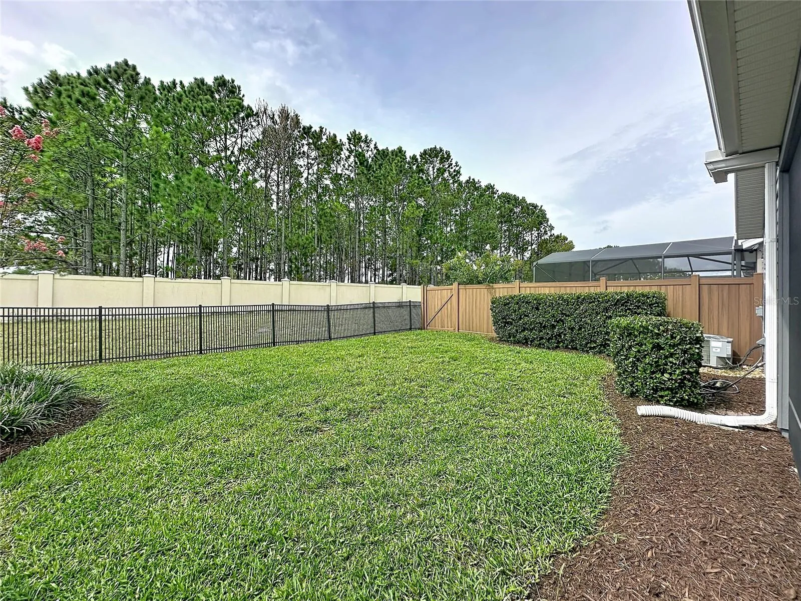 FENCED AND SPACIOUS BACKYARD IS PERFECT FOR YOUR FUR BABIES