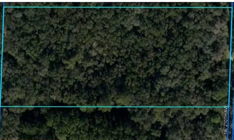 Lot View 1