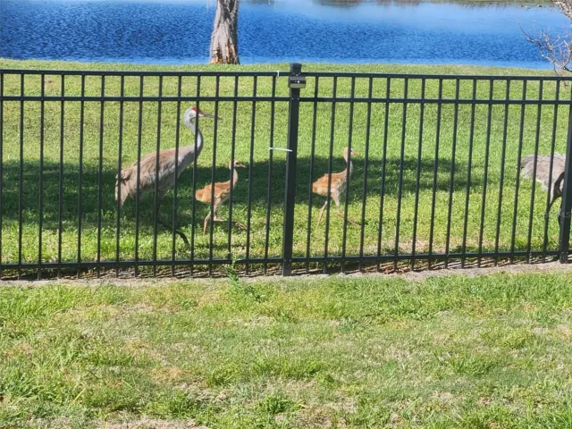 Abundance of wildlife