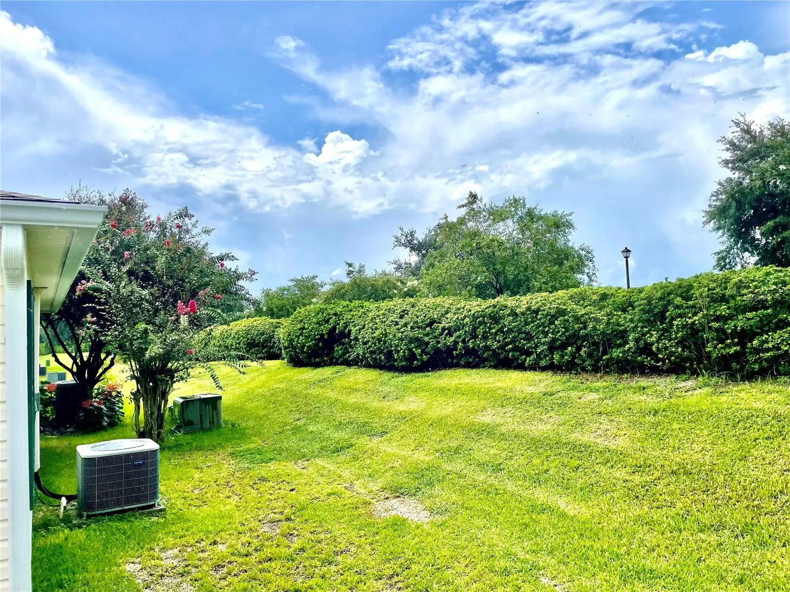 Private, Natural Backyard View!