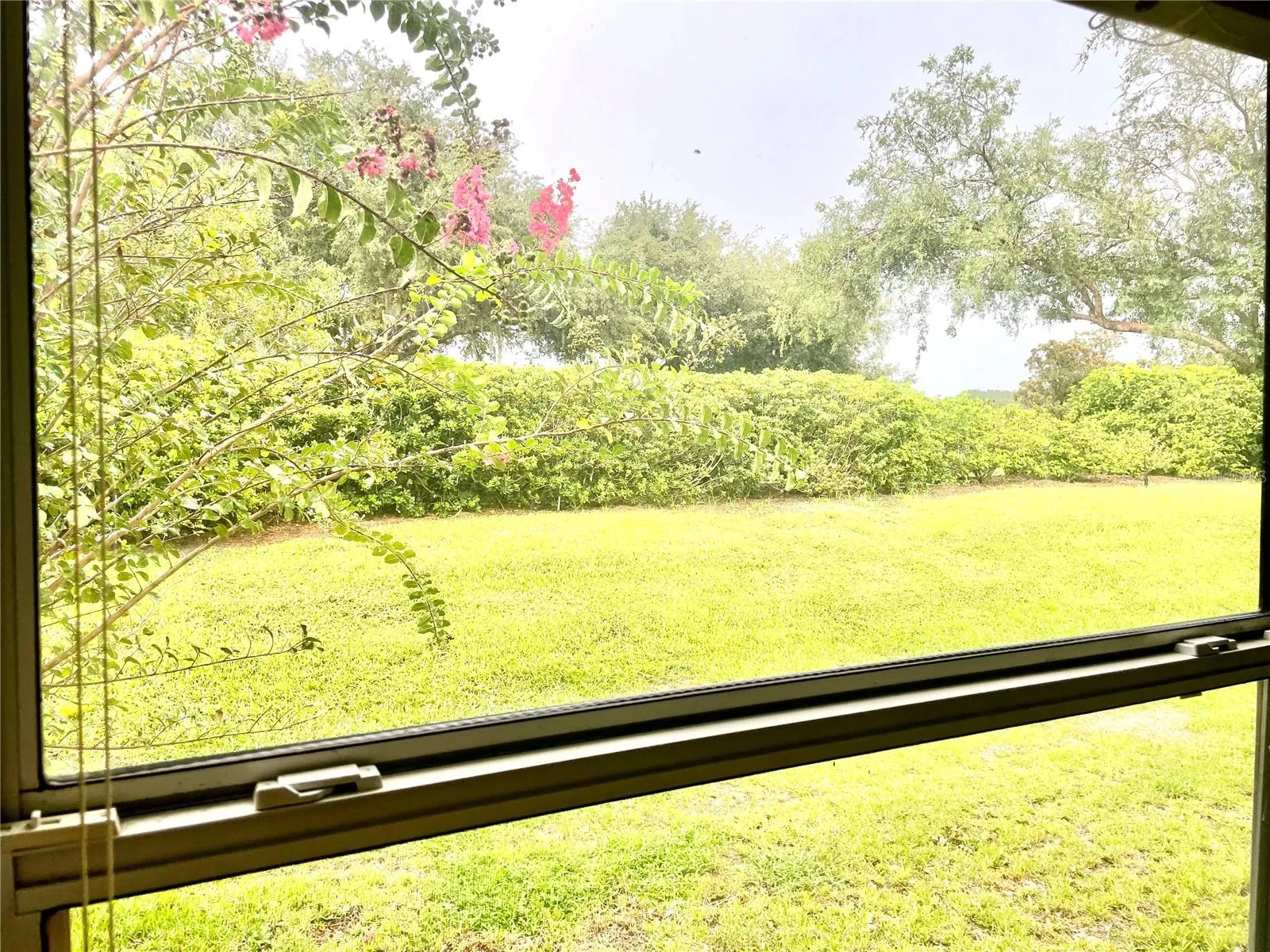 Nice, Private, Nature View from Master Bedroom!