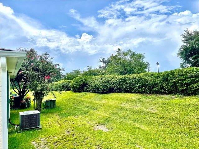 Private, Natural Backyard View!