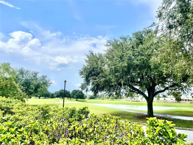 Awesome View from the backyard!