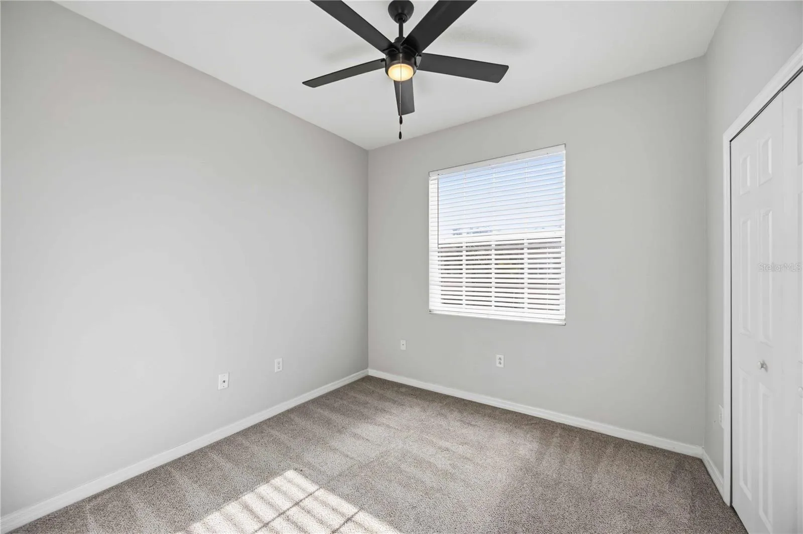 Professionally cleaned carpets
