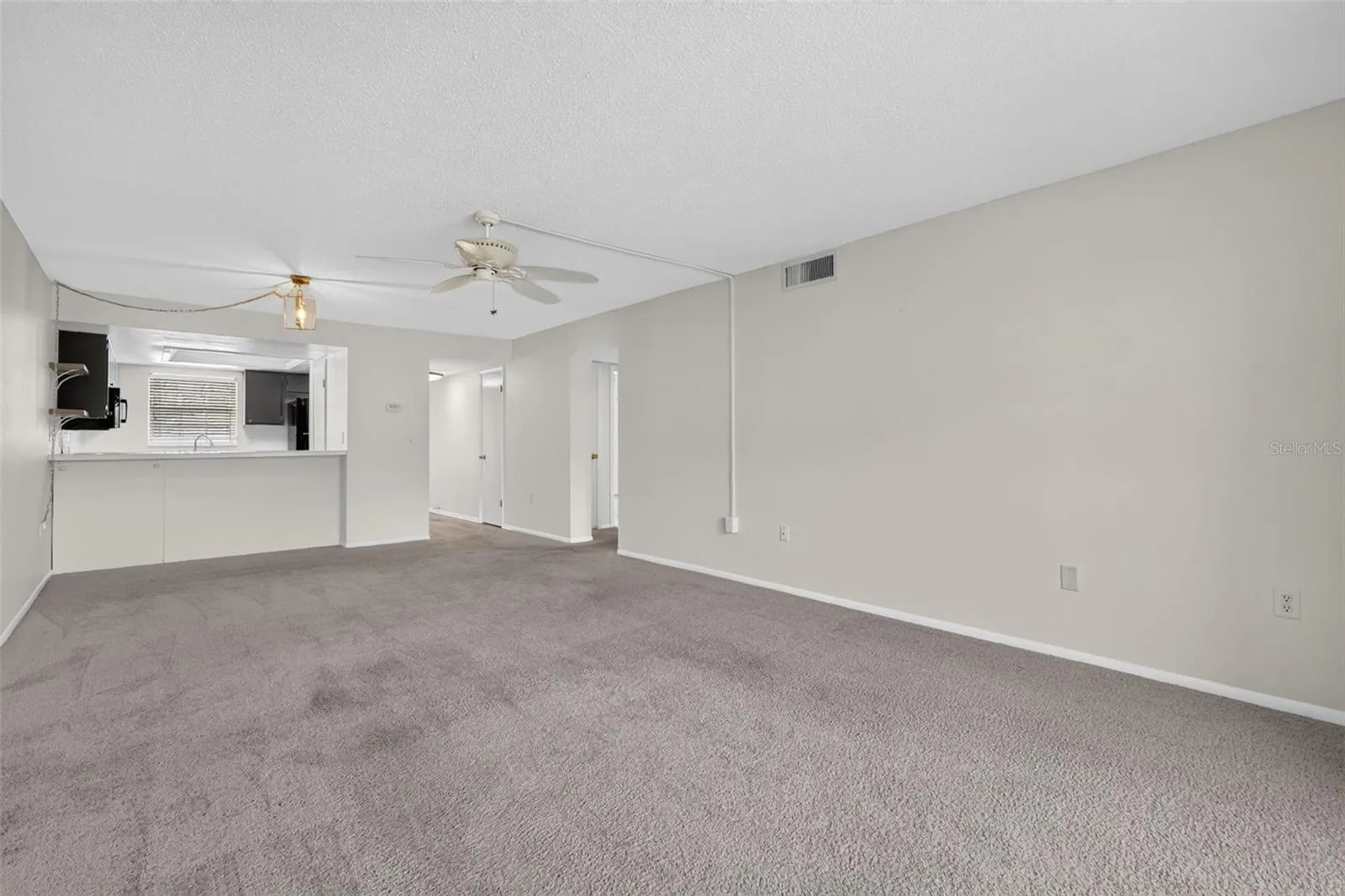Living room/dining room
