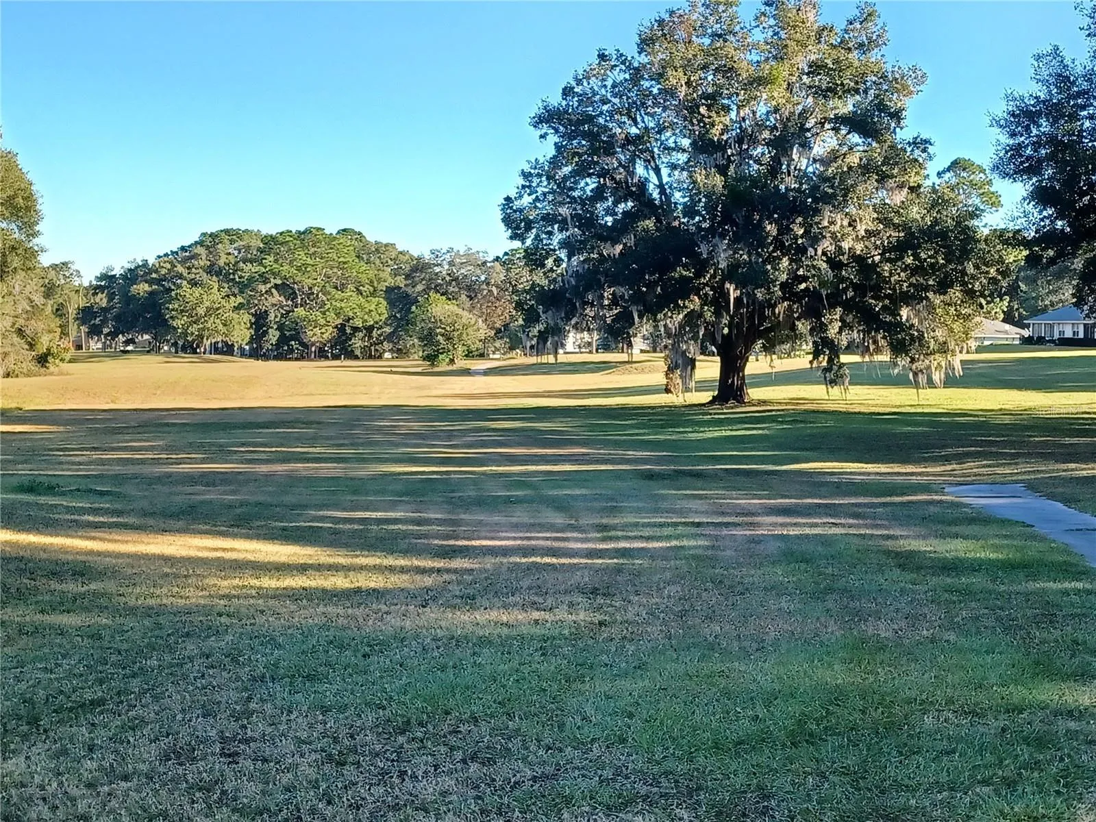 Beautiful Walking paths, gopher tortoises frequently spotted along with red tailed hawks, wild bunnies..