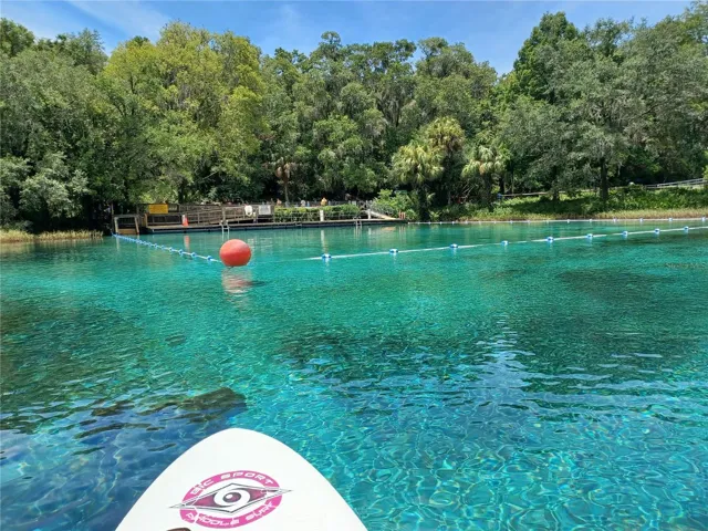 Short paddle from Residents beach up to the Head Spring.  This is the roped off swimming area of Rainbow Springs State Park.