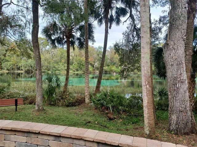 Stunning views of the Rainbow River from the Resident's Park.