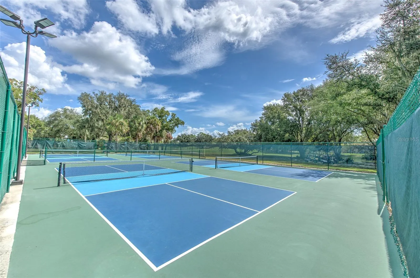 Pickle ball