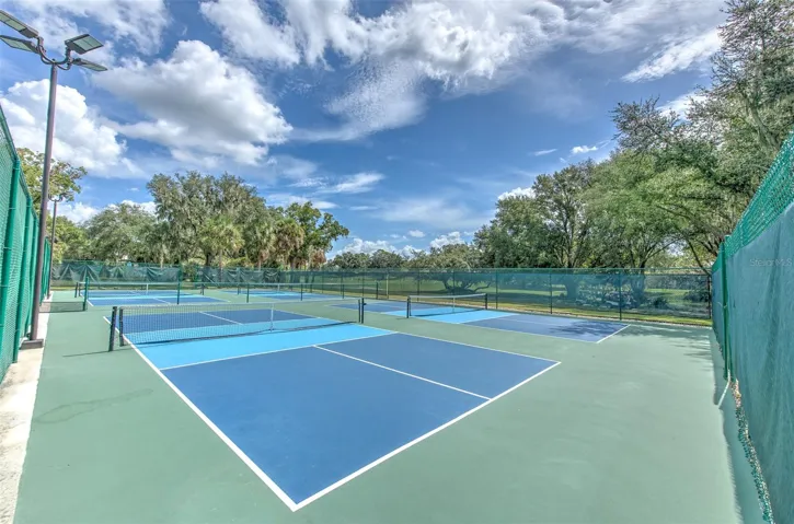 Pickle ball