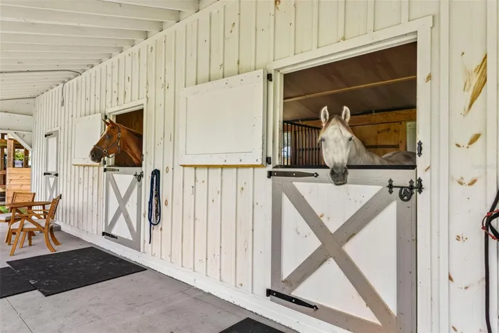 Dutch-style stall doors with durable metal top trim designed to help prevent horses from chewing the wood.