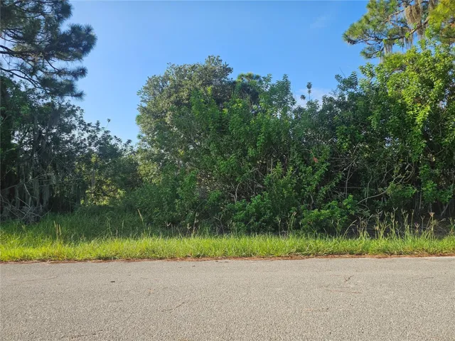 Check out this wooded lot for sale and imagine yourself living here!
