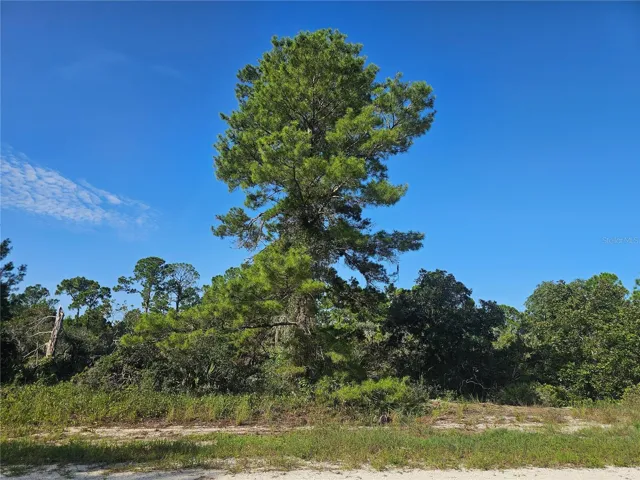 Wooded lot for sale.