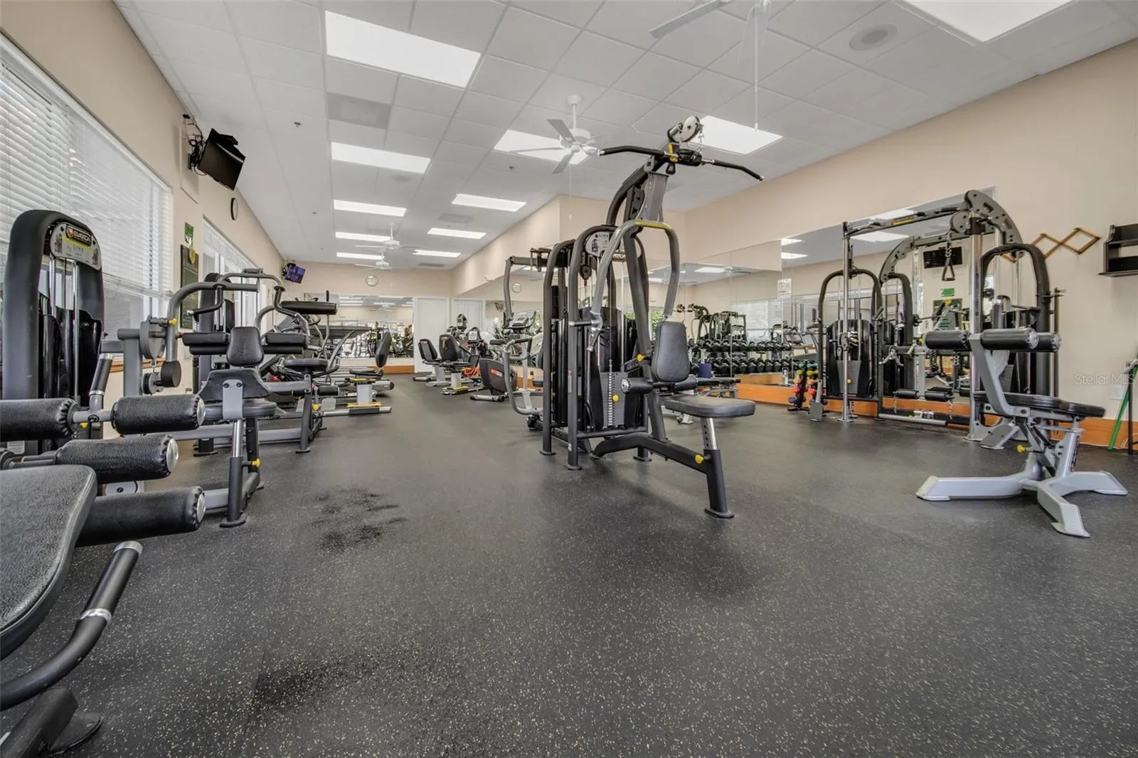Main workout area