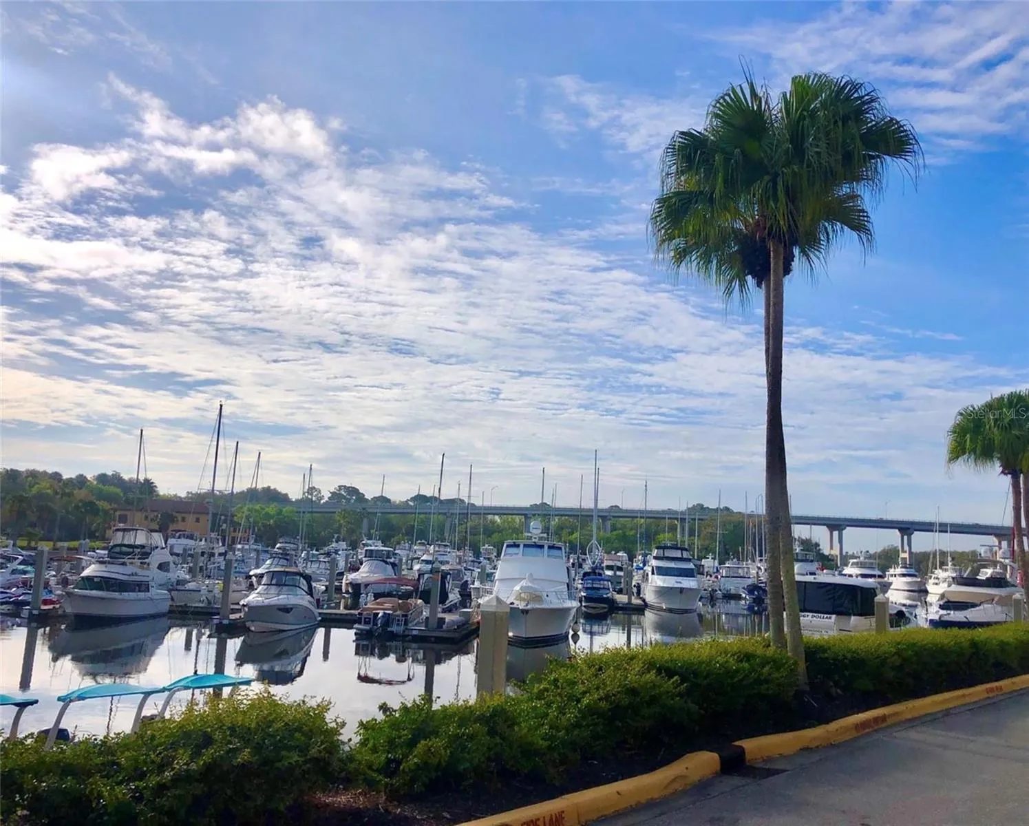 YACHT HARBOR VILLAGE MARINA
