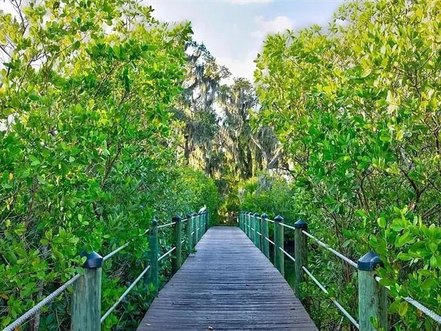 Walking Trails