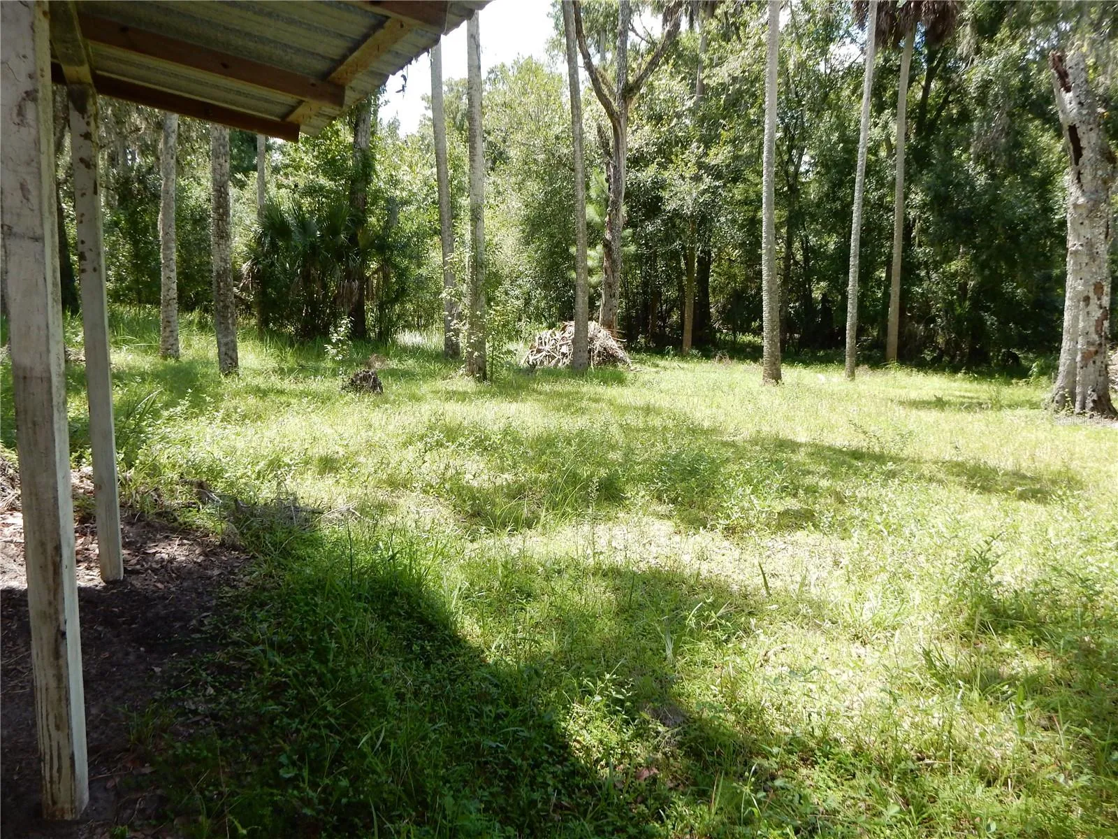 Backyard