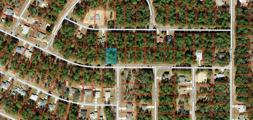 3357 W CUSHION DRIVE, CITRUS SPRINGS, Florida 34433