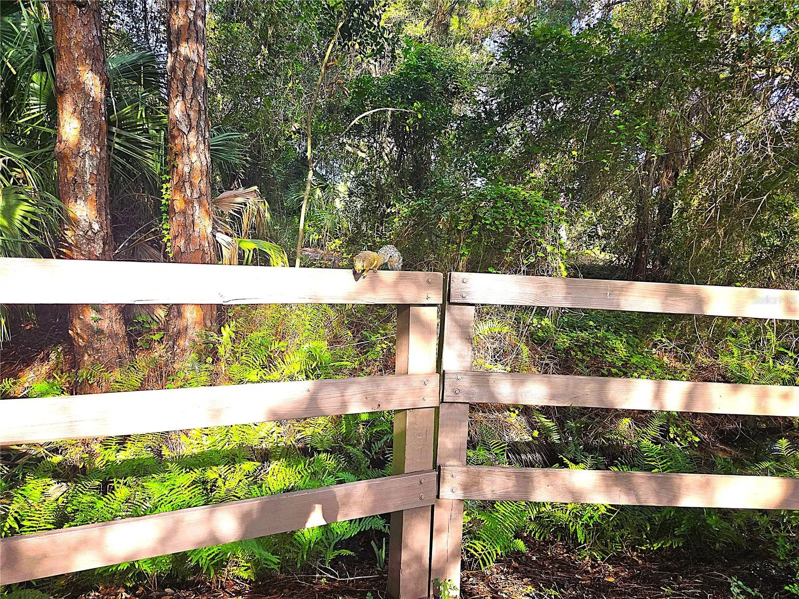 Lake Seminole Park
