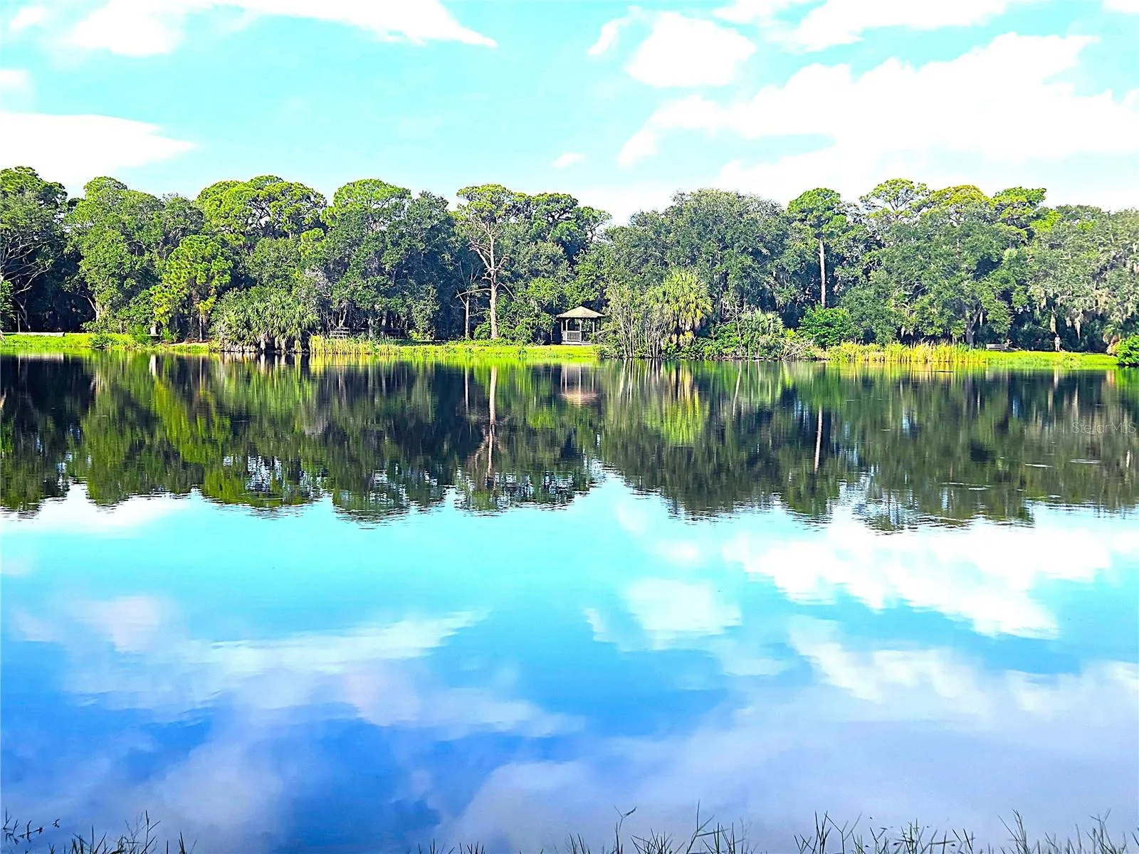 Lake Seminole Park