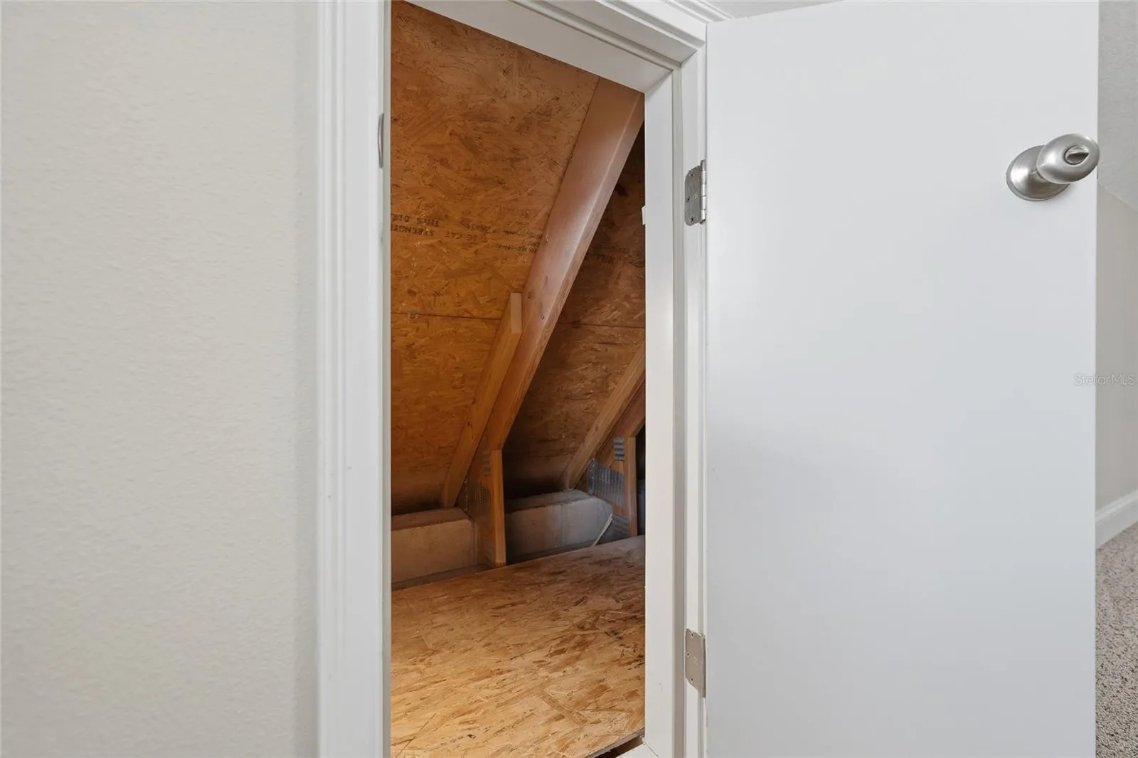 Storage area in Bonus Room 1 0f 2