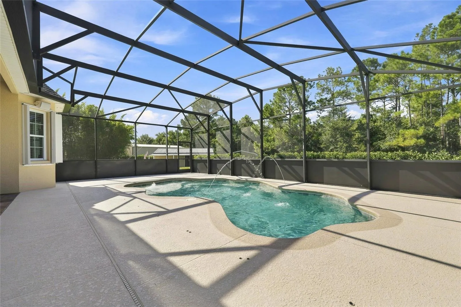 Pool with screen enclosure