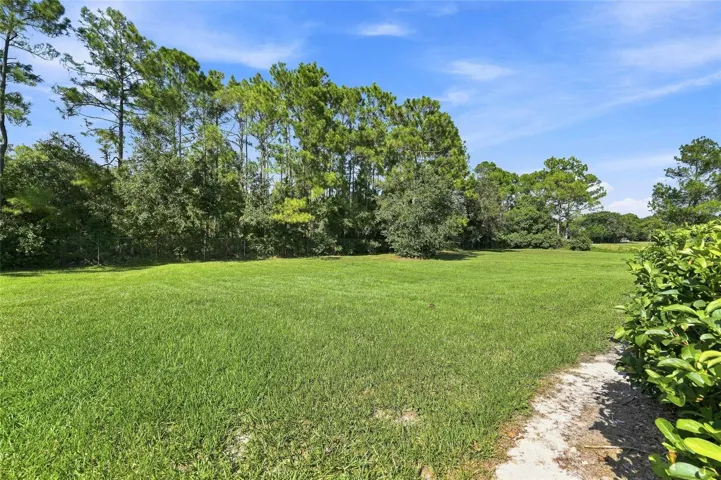 Back yard