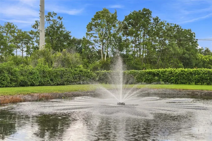 Pond