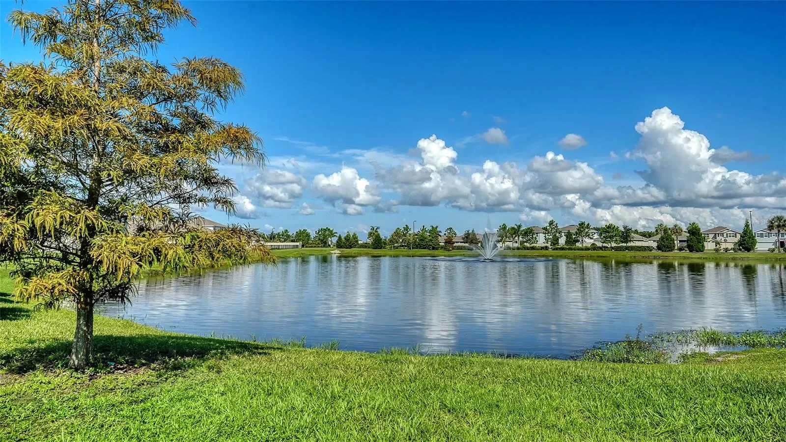 This is the view from the front door looking across the street at a beautiful pond.  There are no homes directly across the street.