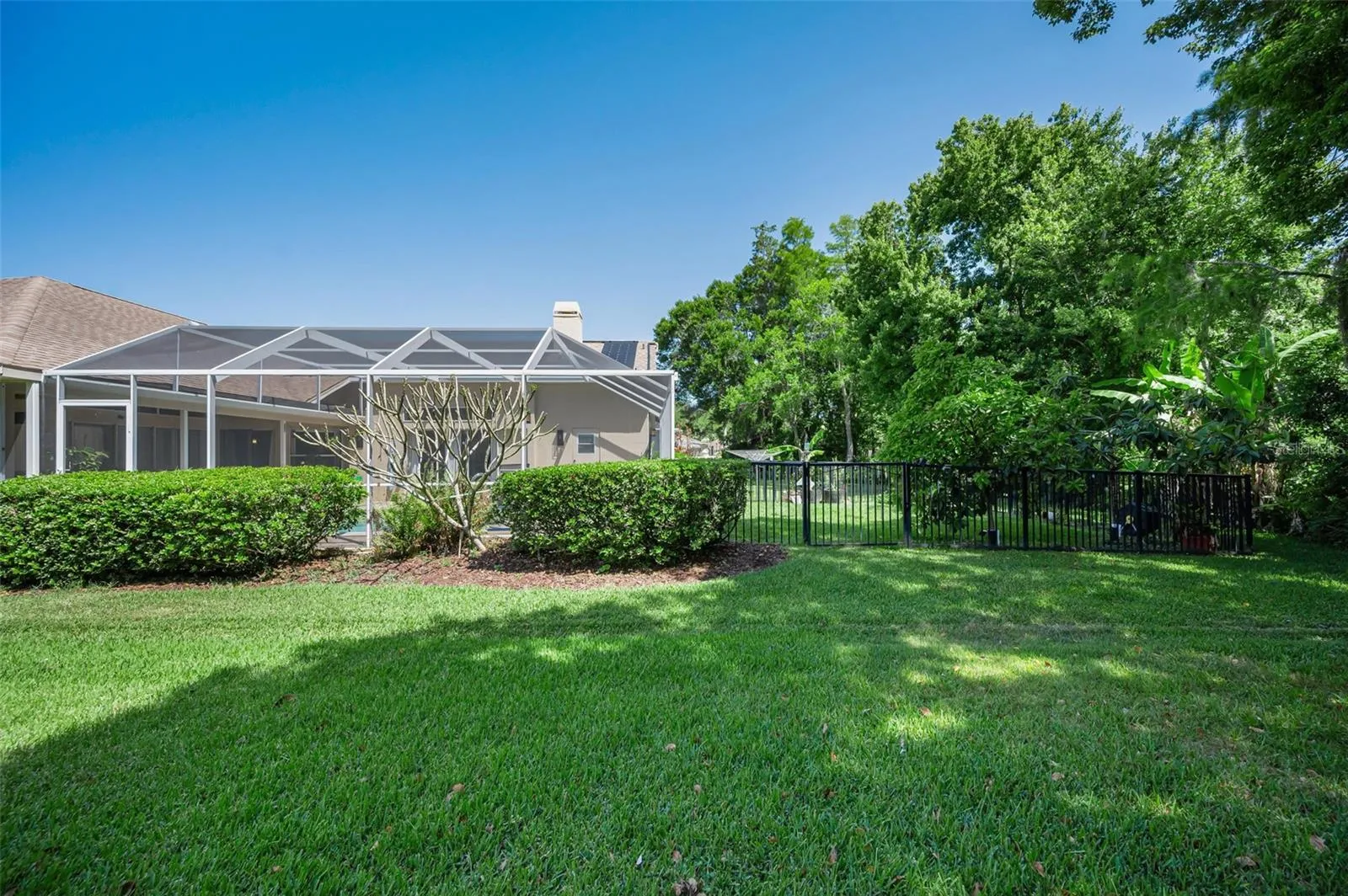 Rear Fenced in yard area