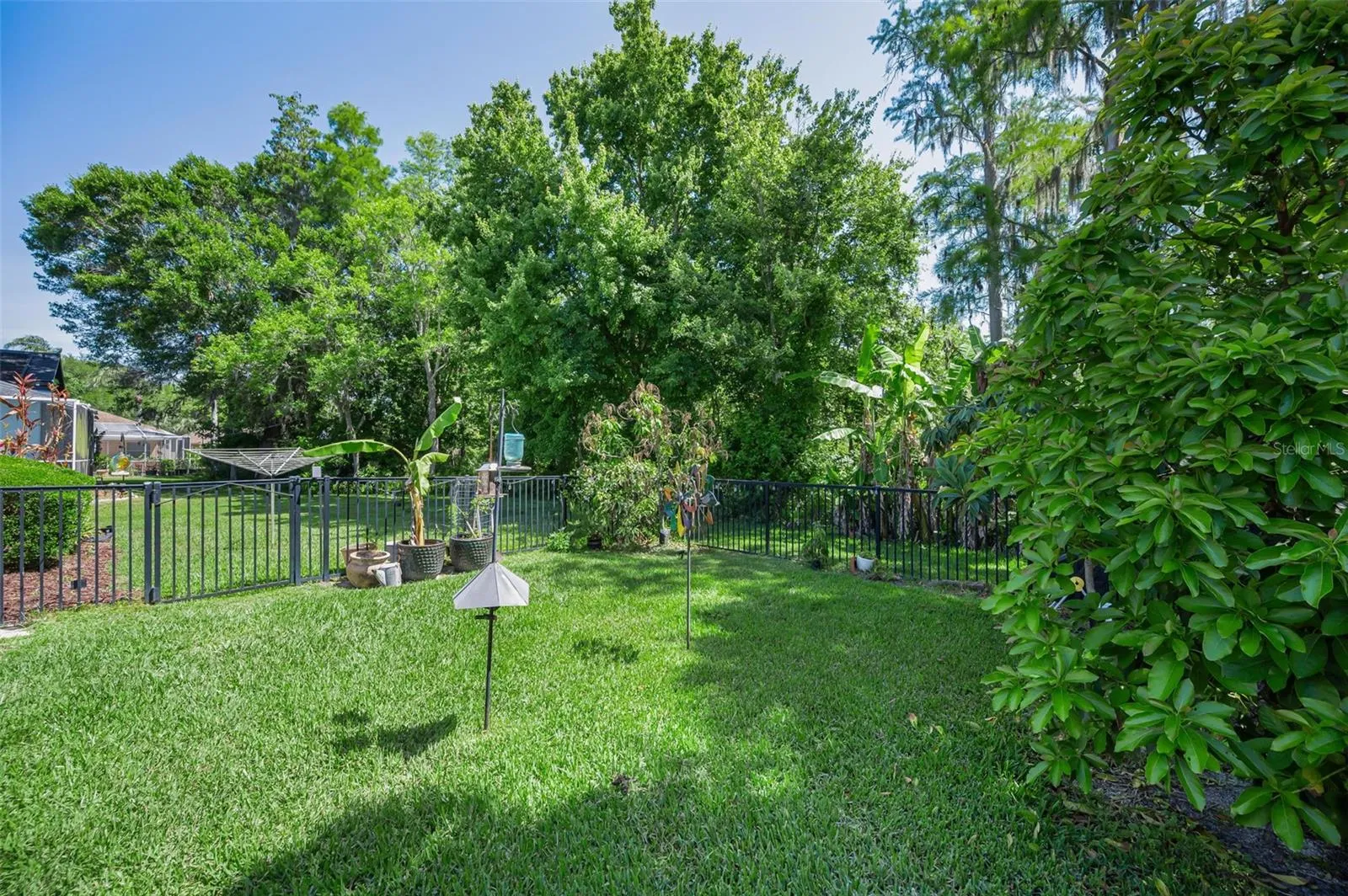 Fenced in Backyard Area