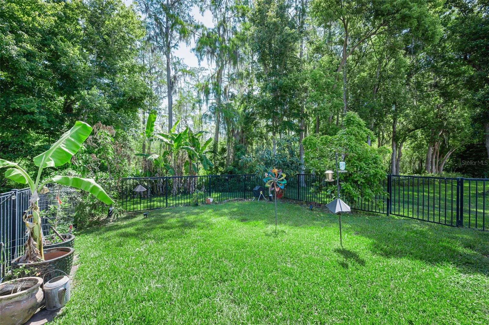 Fenced in Backyard Area