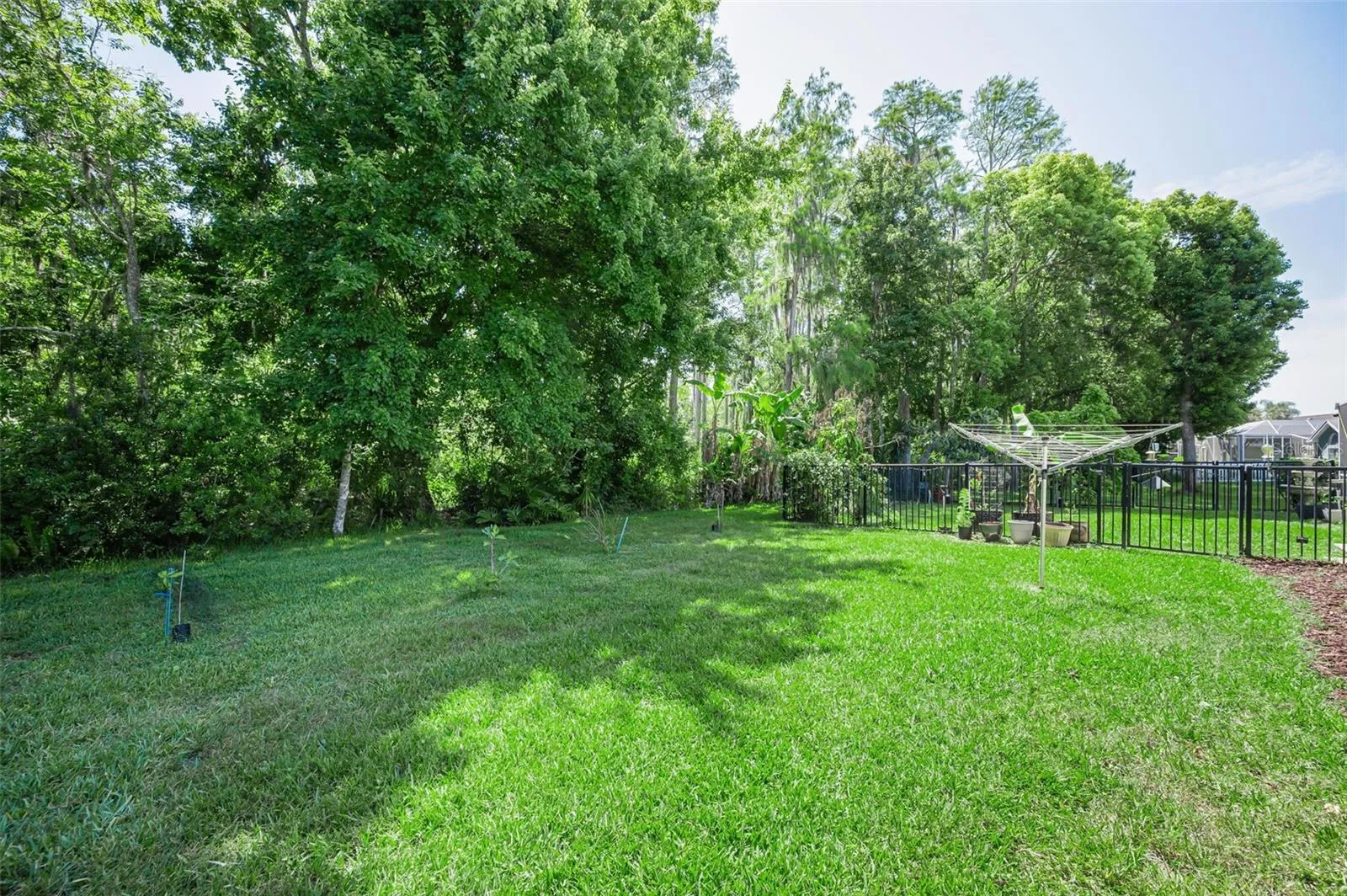 .28 acre conservation lot partially fenced