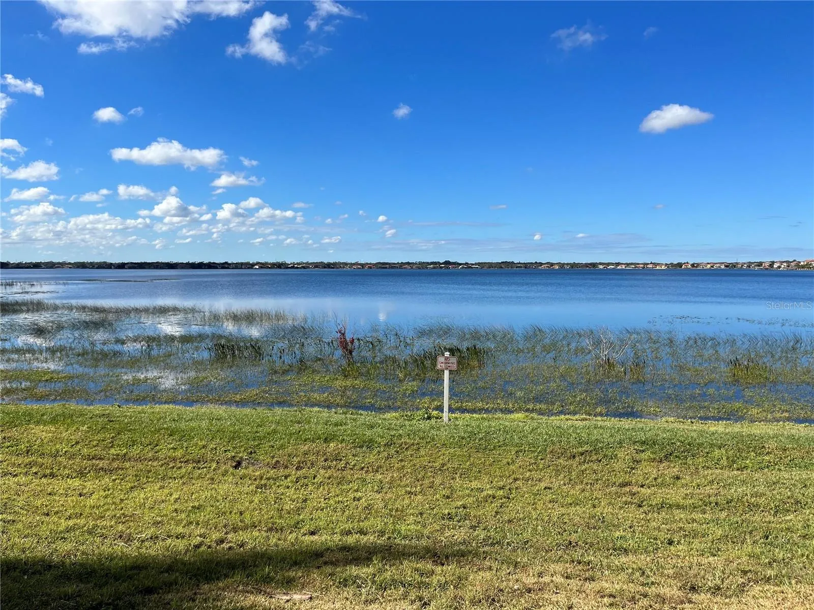 Lake view